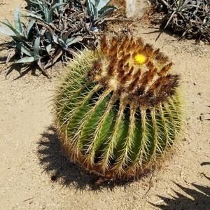 Meet your Posher, Gutierrez